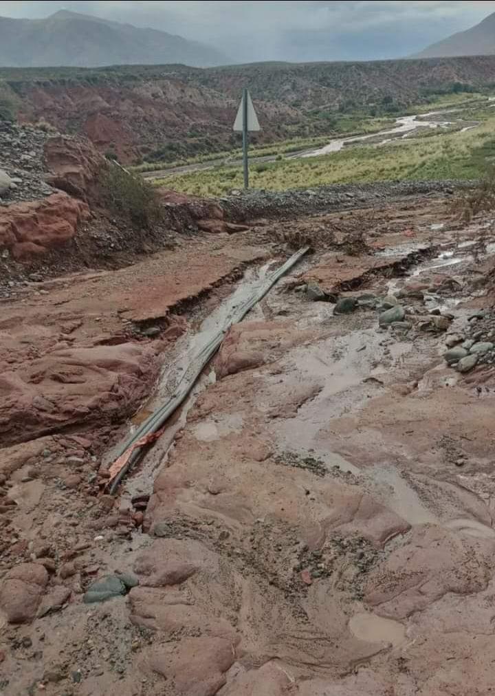 WhatsApp Image 2023-03-28 at 06.59.23