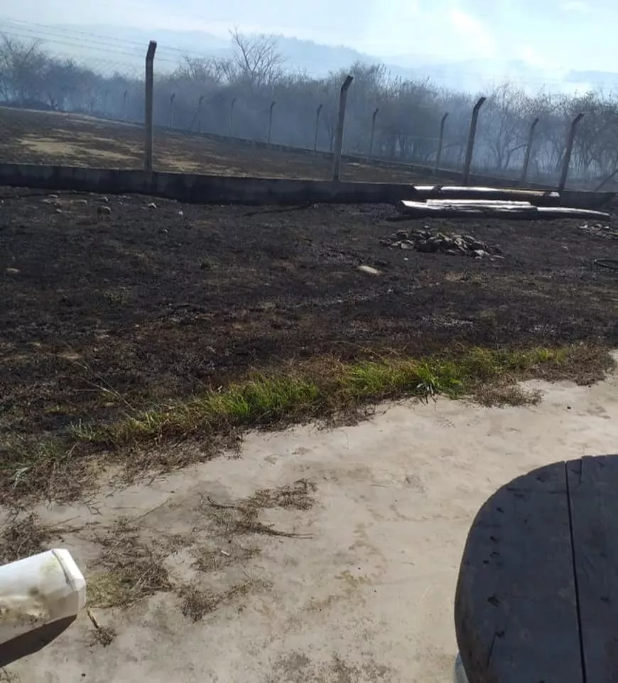 292294383_7741455369262164_1119864237882236936_n