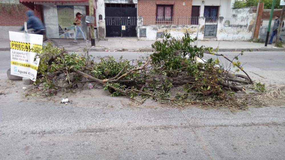 WhatsApp Image 2023-05-11 at 08.02.36