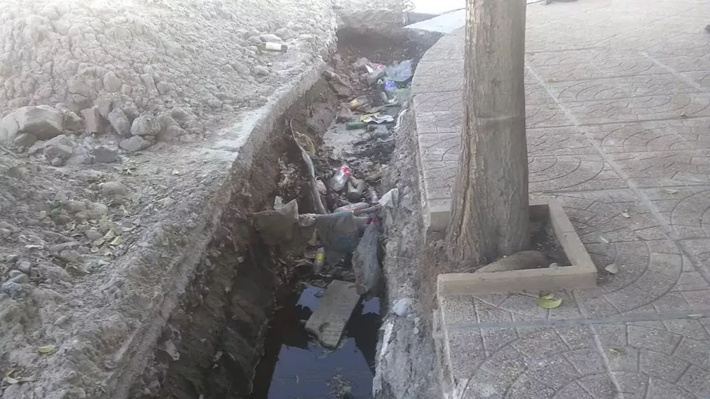 WhatsApp Image 2023-01-12 at 08.18.02