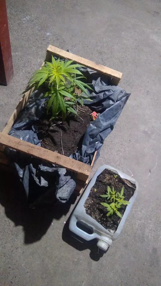 WhatsApp-Image-2022-06-18-at-1.04.51-PM