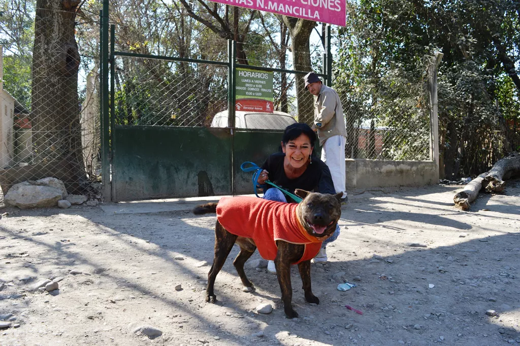 jornada-adopciones-14-1