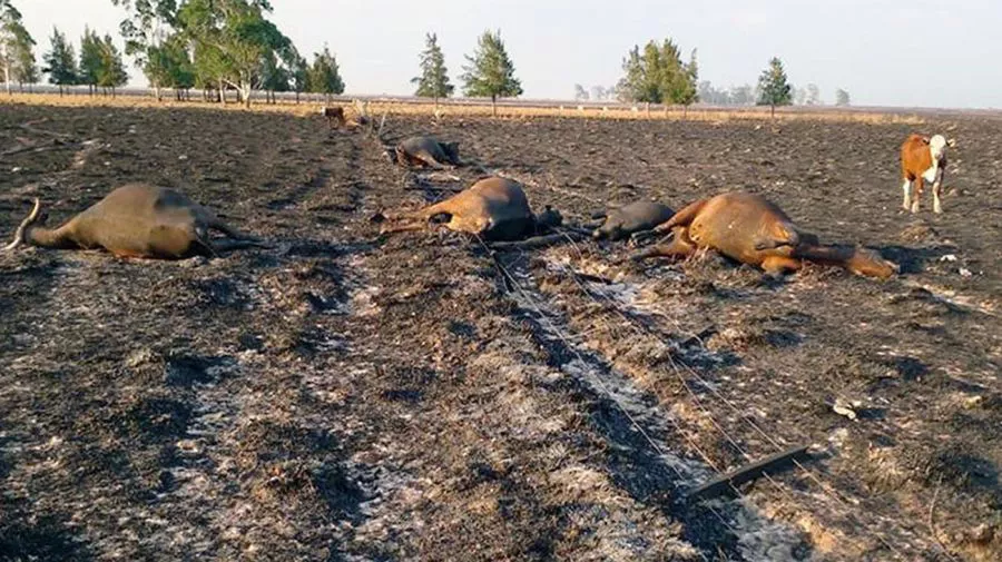incendios-en-corrientes-20220216-1313759