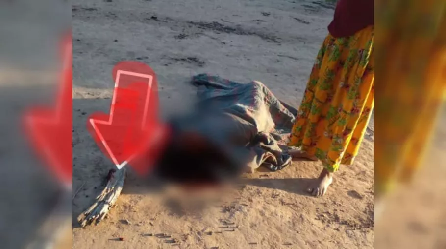 WhatsApp Image 2022-11-07 at 08.15.40