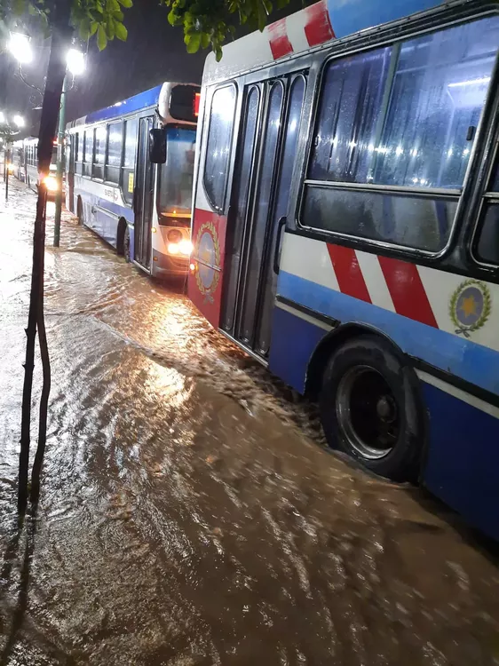 WhatsApp Image 2022-03-10 at 09.22.16 (1)