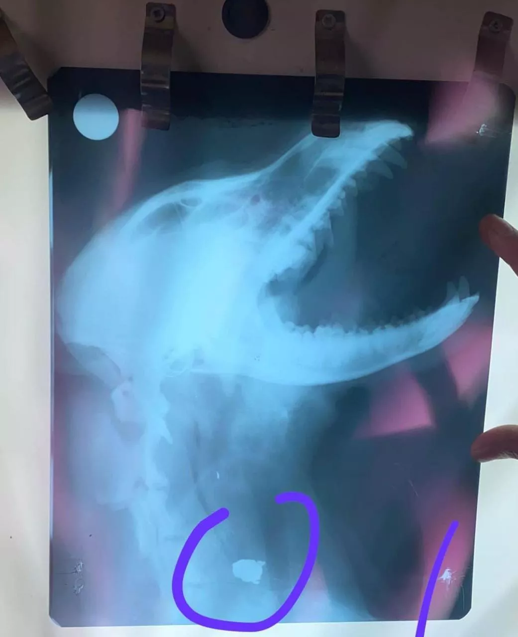 WhatsApp Image 2022-08-08 at 9.44.35 AM (1)