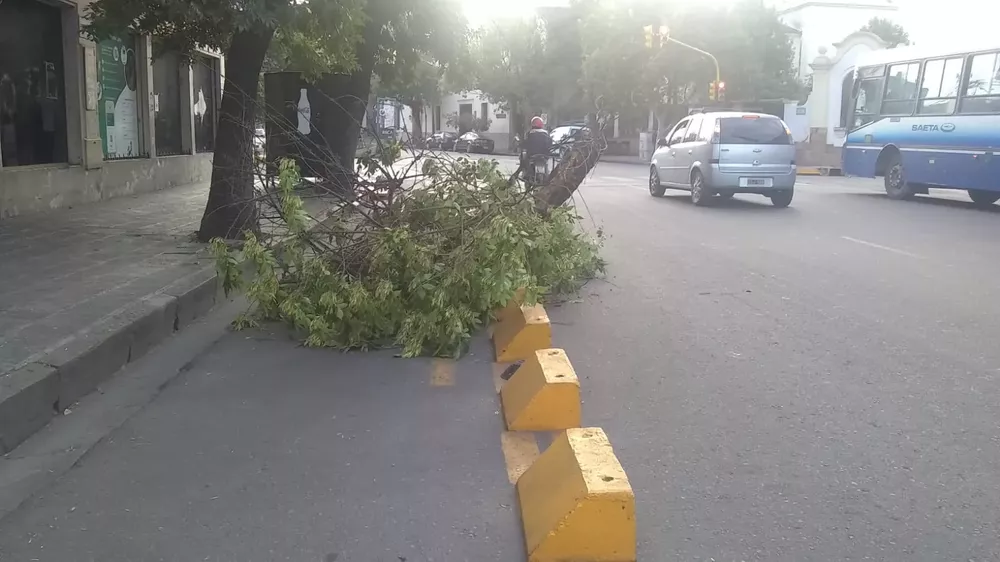 WhatsApp Image 2023-01-12 at 07.39.20