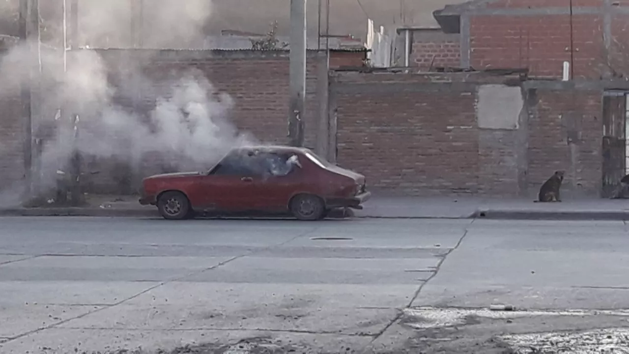 WhatsApp Image 2022-08-22 at 8.27.08 AM