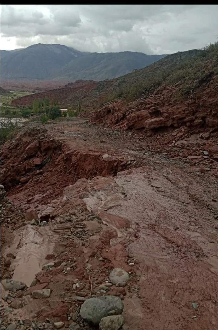 WhatsApp Image 2023-03-28 at 06.59.13