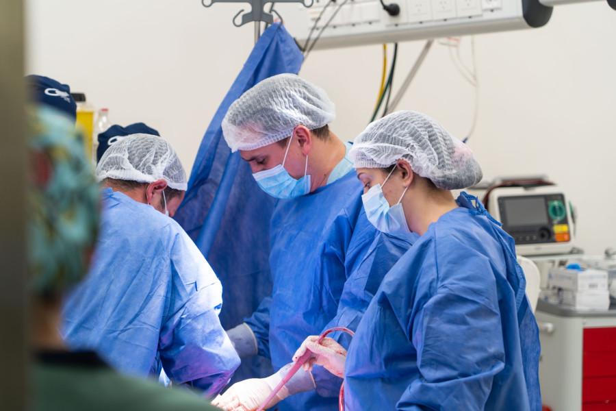 WhatsApp Image 2023-09-27 at 08.28.11