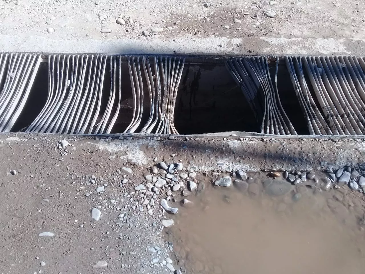 WhatsApp Image 2022-08-19 at 9.02.01 AM