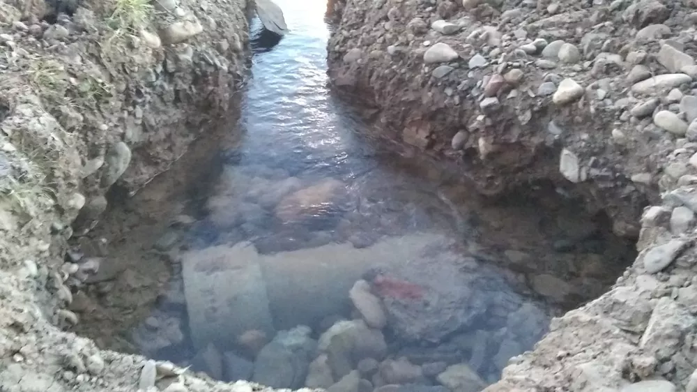 WhatsApp Image 2022-06-29 at 8.02.21 AM