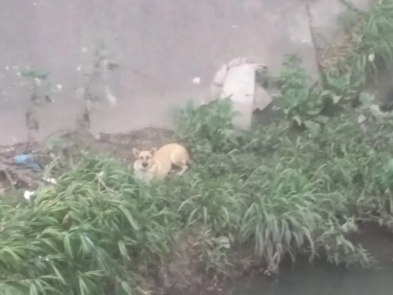 WhatsApp Image 2023-02-07 at 08.43.37