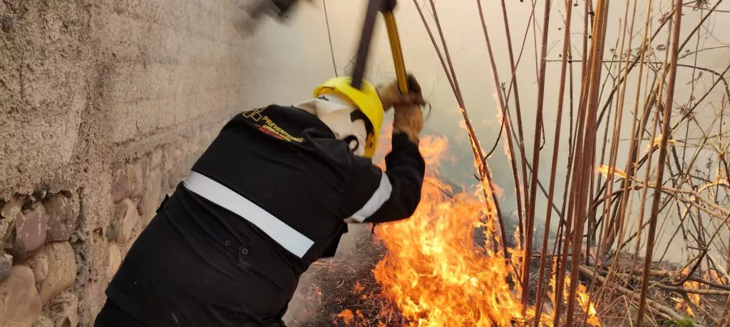 whatsapp-image-2022-08-17-at-55515-pm-1024x460