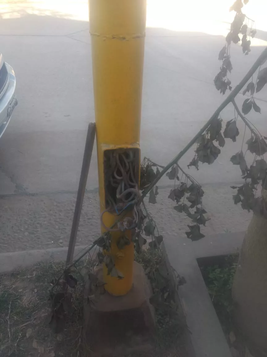 WhatsApp Image 2022-07-26 at 7.44.09 AM