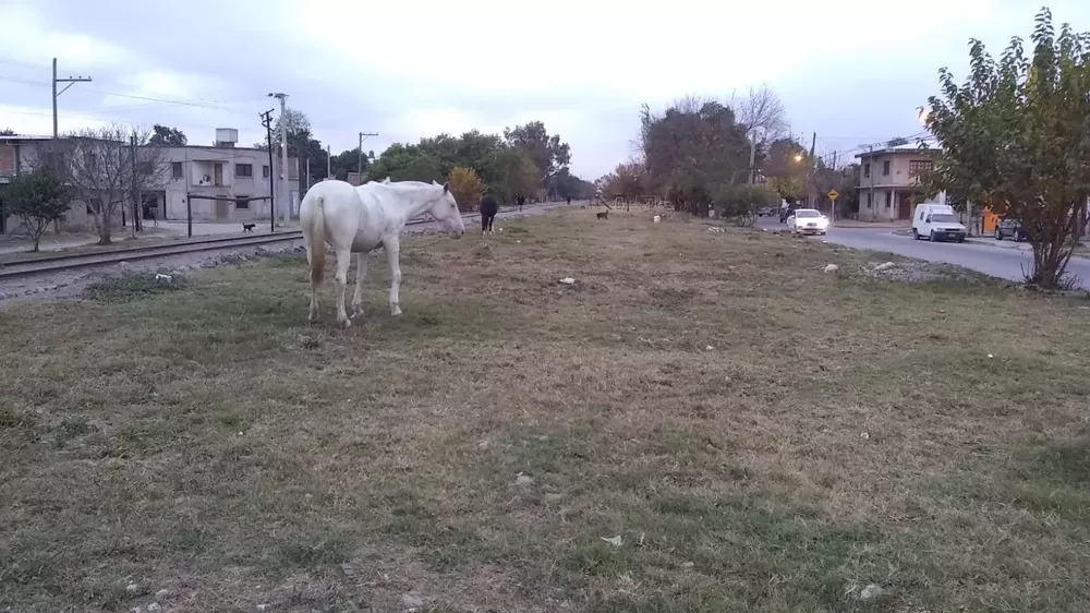 WhatsApp Image 2022-05-26 at 8.37.02 AM