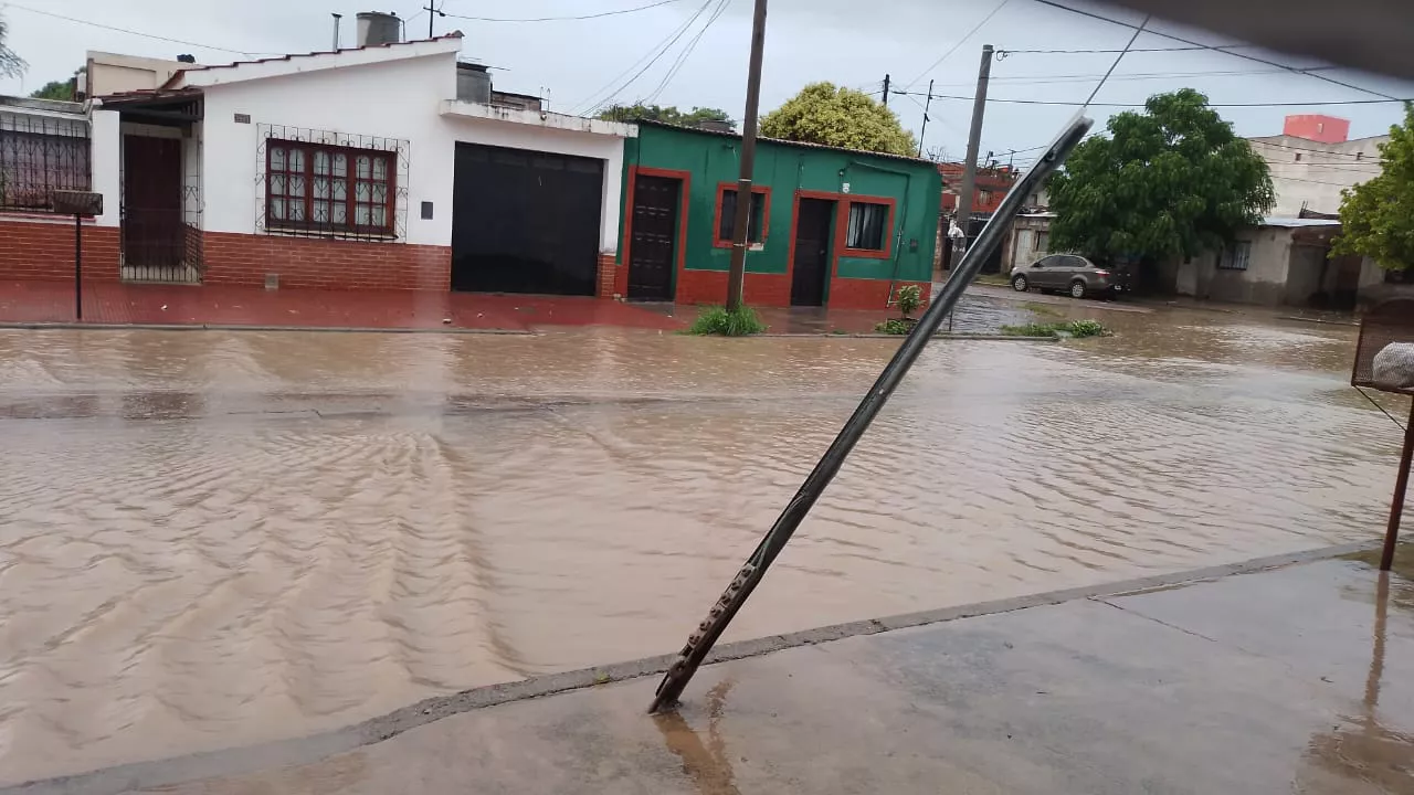 WhatsApp Image 2023-01-23 at 07.52.55