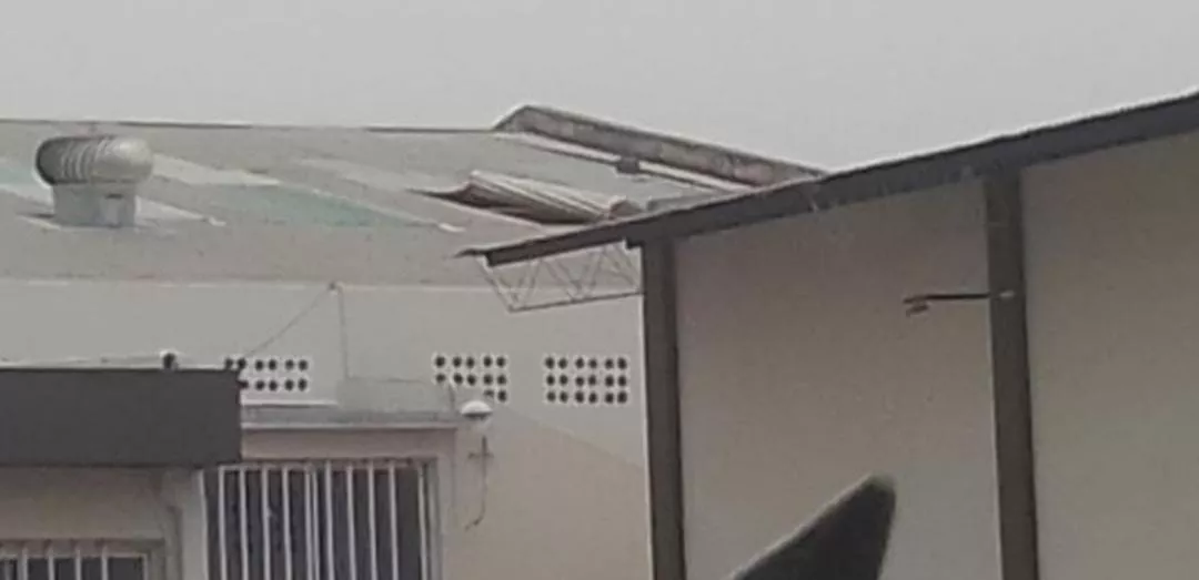 WhatsApp Image 2022-10-31 at 09.03.51