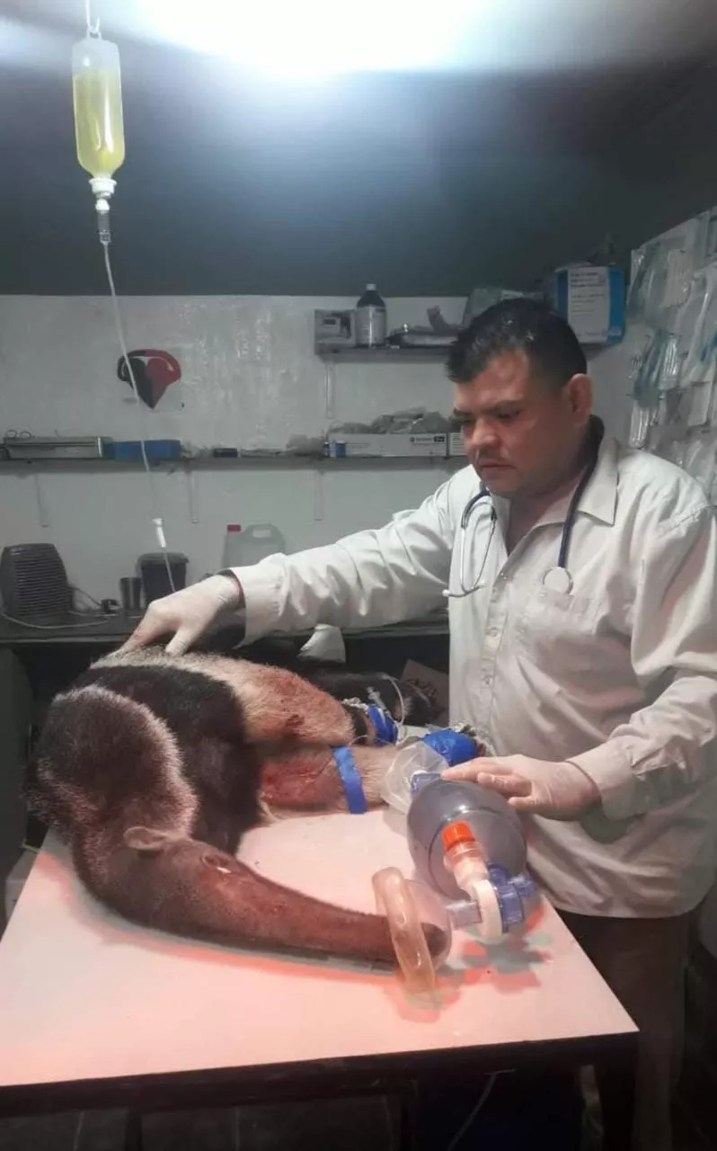 WhatsApp Image 2022-06-23 at 12.13.42 PM