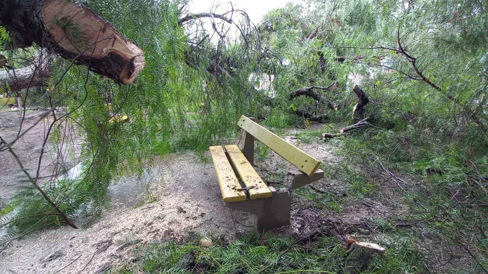 WhatsApp Image 2022-12-26 at 09.51.25 (1)