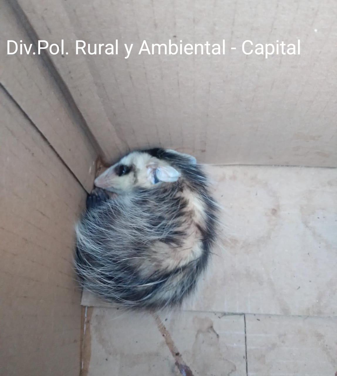 332924535_1960048077667713_1894391986980800348_n