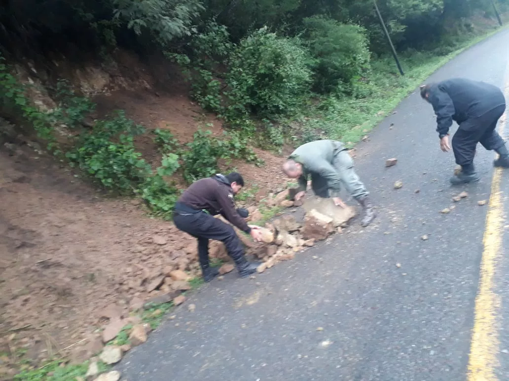 WhatsApp Image 2022-03-11 at 08.18.16 (1)