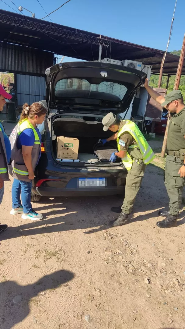 transportaba_58_loros_en_el_baul_de_un_auto_1_a