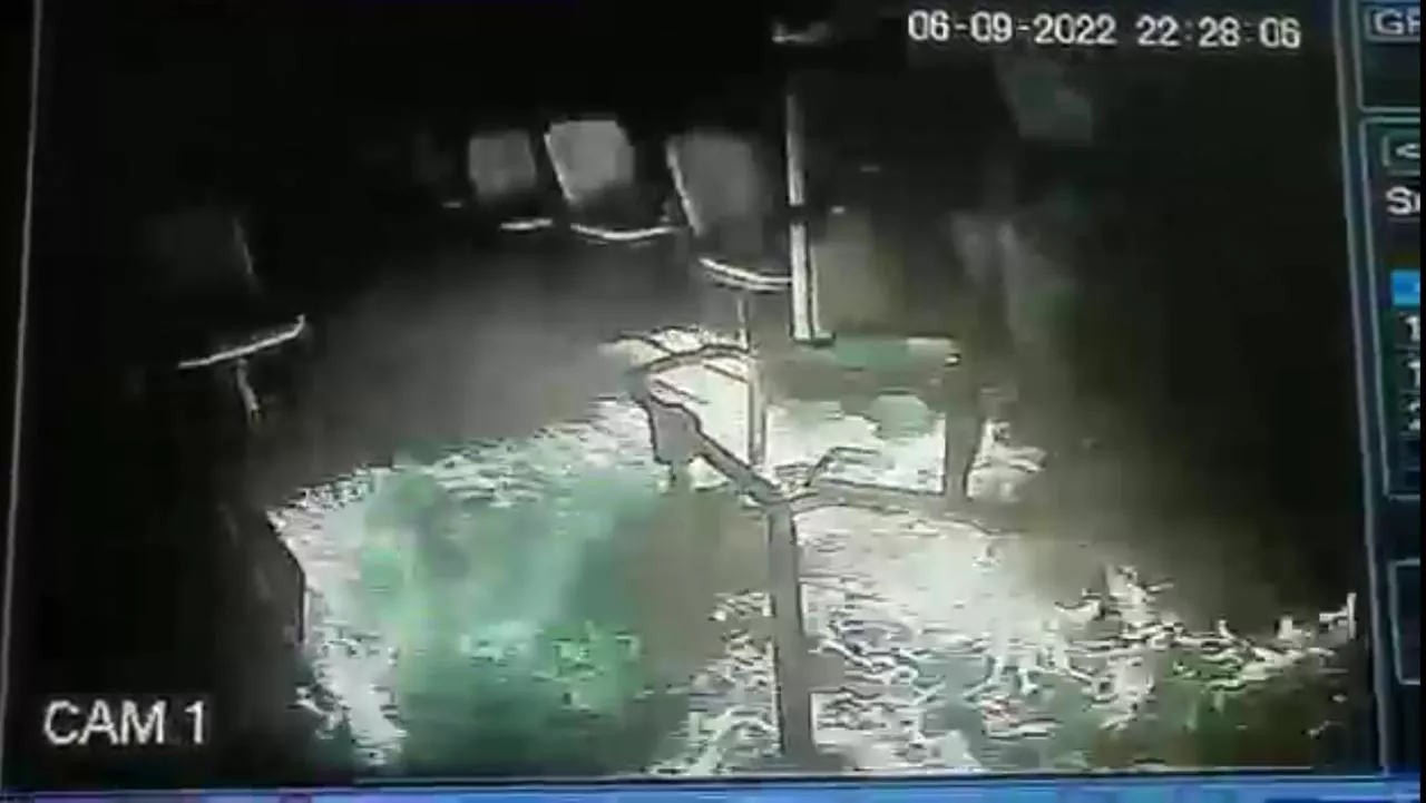 d4a7523f-975a-45a4-b6c5-c24a2c607c06