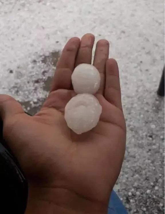 WhatsApp Image 2022-10-31 at 10.09.58