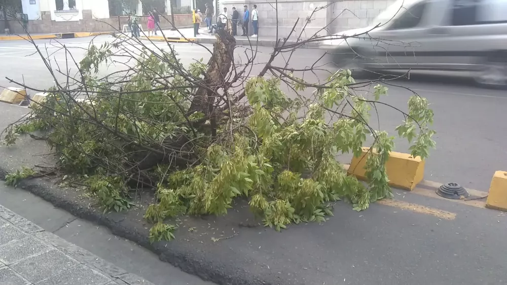 WhatsApp Image 2023-01-12 at 07.39.27