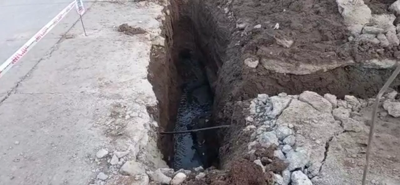 WhatsApp Image 2022-07-29 at 10.23.29 AM (3)