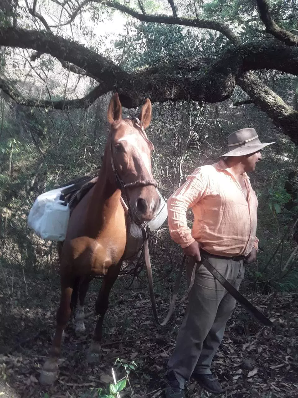 WhatsApp Image 2022-11-08 at 11.00.43 (1)