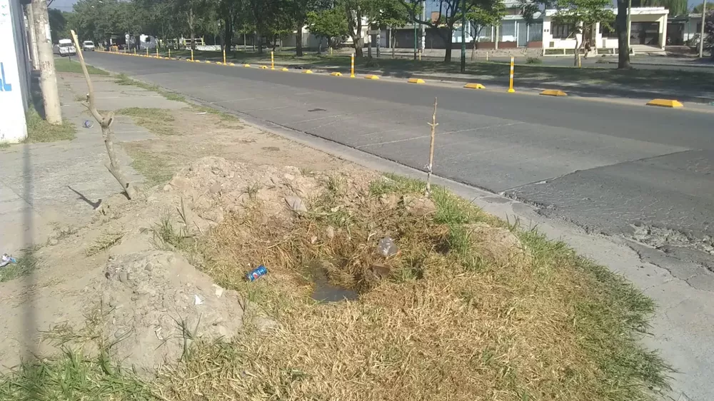 9950bb60-57cf-4c4f-af14-de14ca95babc