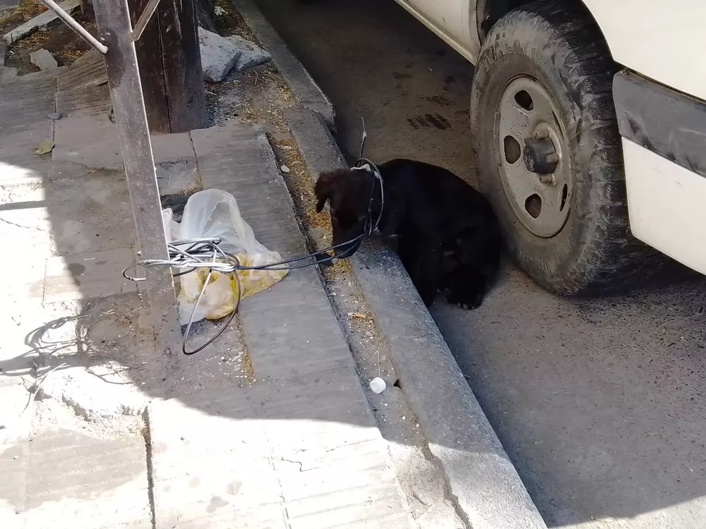 WhatsApp Image 2023-01-20 at 10.10.19 (1)