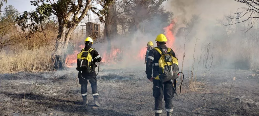 whatsapp-image-2022-08-17-at-55514-pm-1024x460