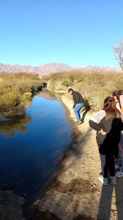 WhatsApp Image 2022-06-21 at 9.28.37 AM