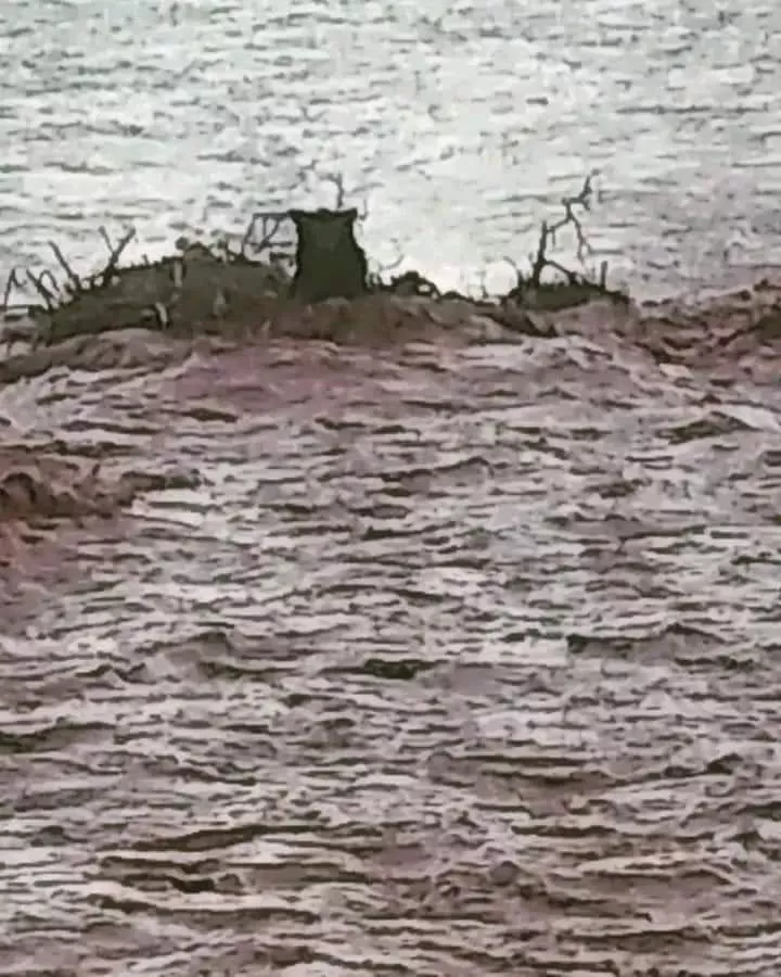 WhatsApp Image 2023-01-24 at 09.46.32