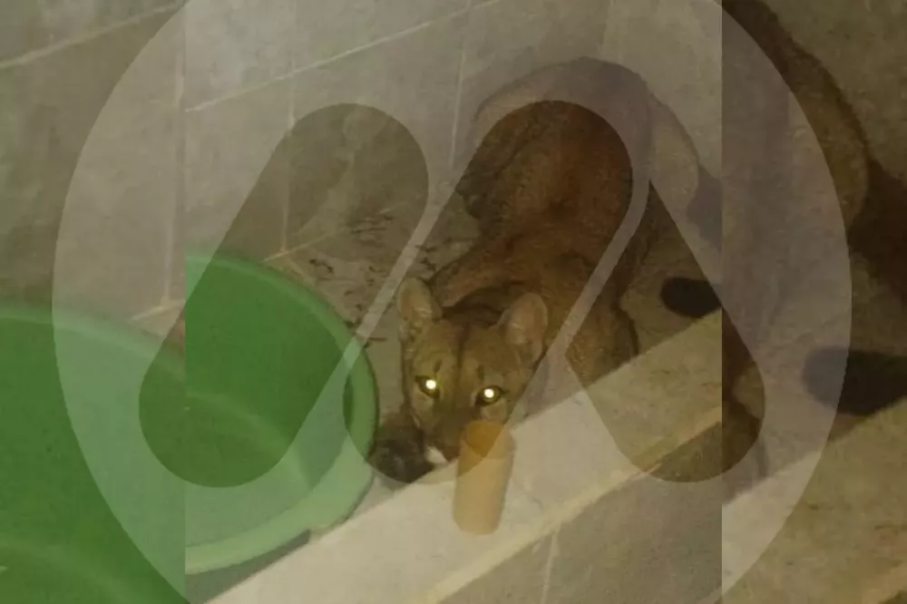 WhatsApp Image 2022-05-12 at 08.50.14