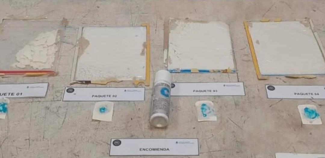 WhatsApp Image 2023-04-04 at 07.45.22