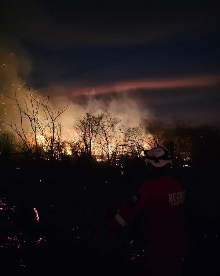 WhatsApp Image 2023-08-23 at 22.12.28