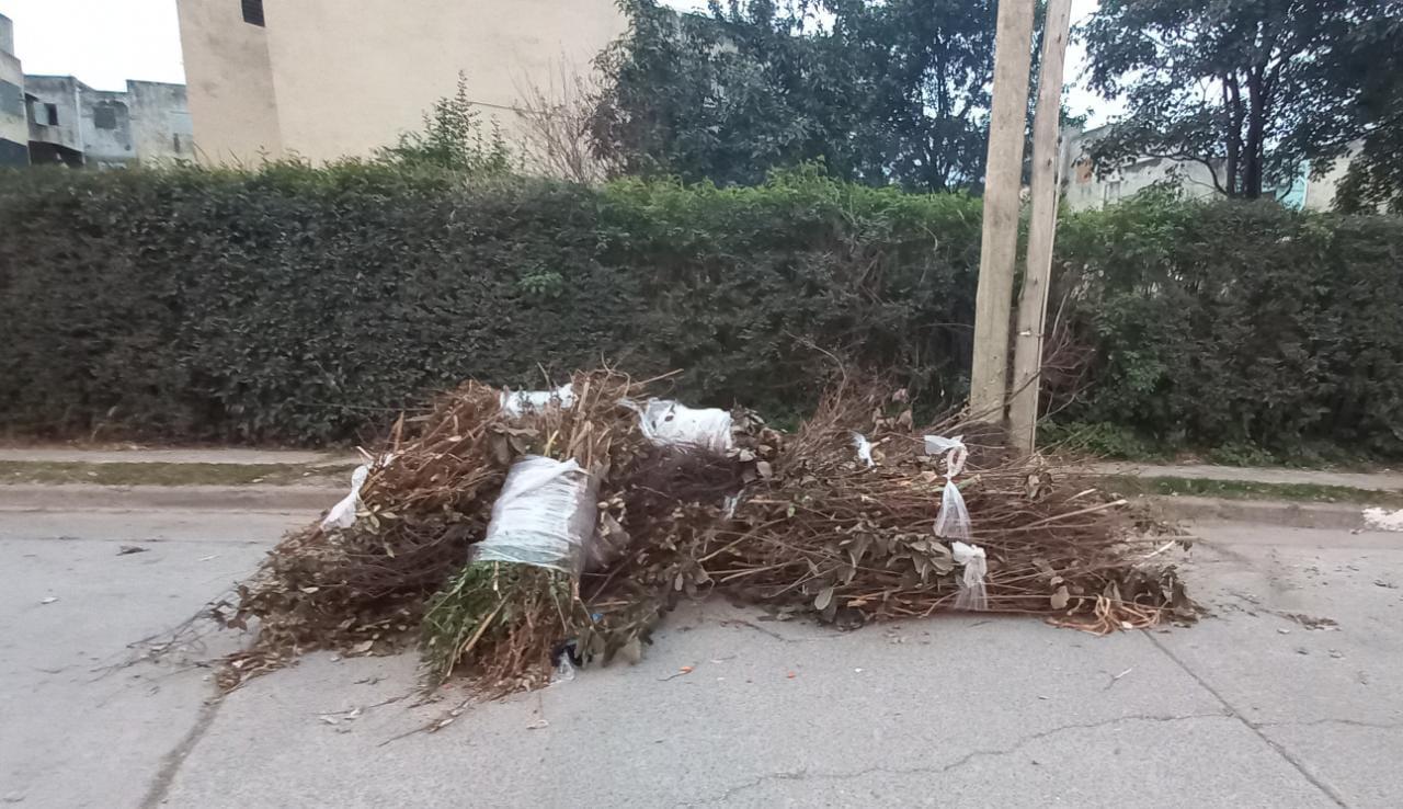 WhatsApp Image 2023-07-14 at 08.05.40