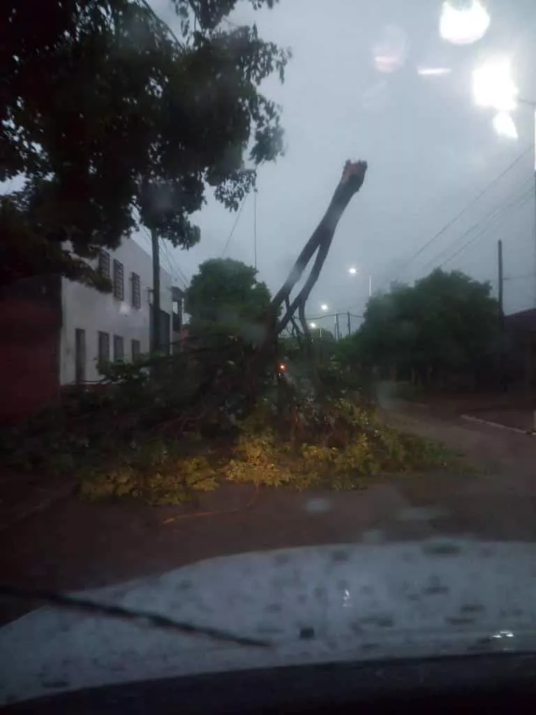 WhatsApp Image 2022-01-24 at 07.46.02