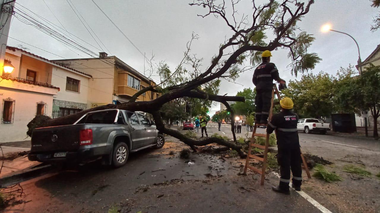 WhatsApp Image 2023-04-05 at 08.01.55