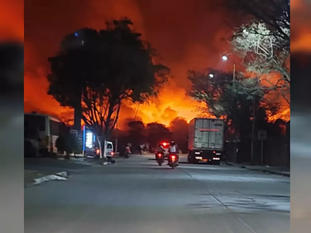 WhatsApp Image 2022-11-08 at 08.12.48