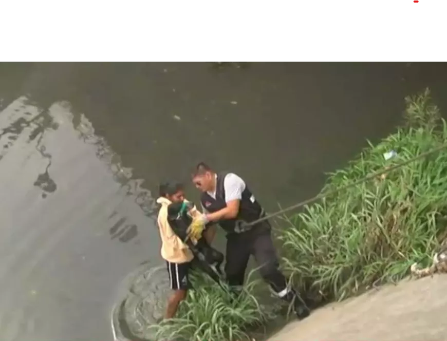 Screenshot 2023-01-31 103745