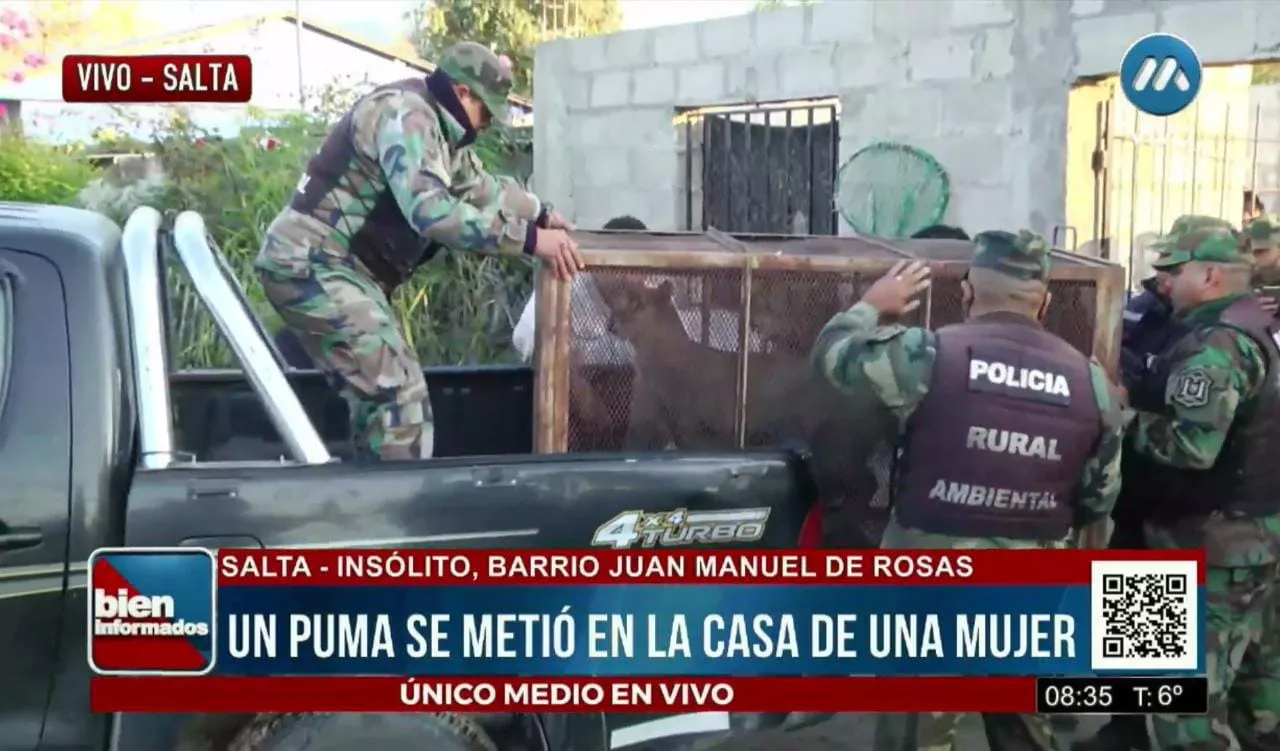 WhatsApp Image 2022-05-12 at 08.48.47 (6)