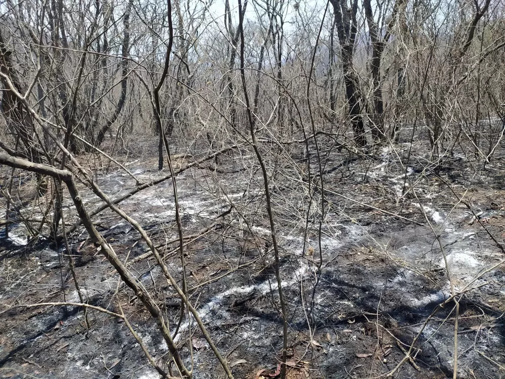 extincion-fuego-cerro-20-de-febrero-11-a