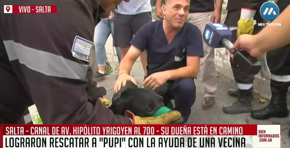 Screenshot 2023-01-31 104024