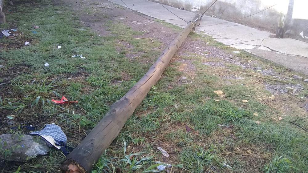 WhatsApp Image 2023-03-17 at 08.55.55