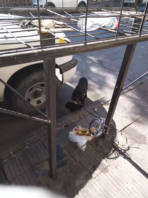 WhatsApp Image 2023-01-20 at 10.10.19